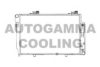 AUTOGAMMA 101320 Radiator, engine cooling